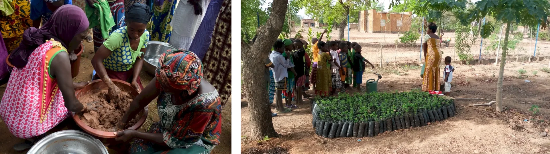 2025 | Burkina Faso: a female-led forest