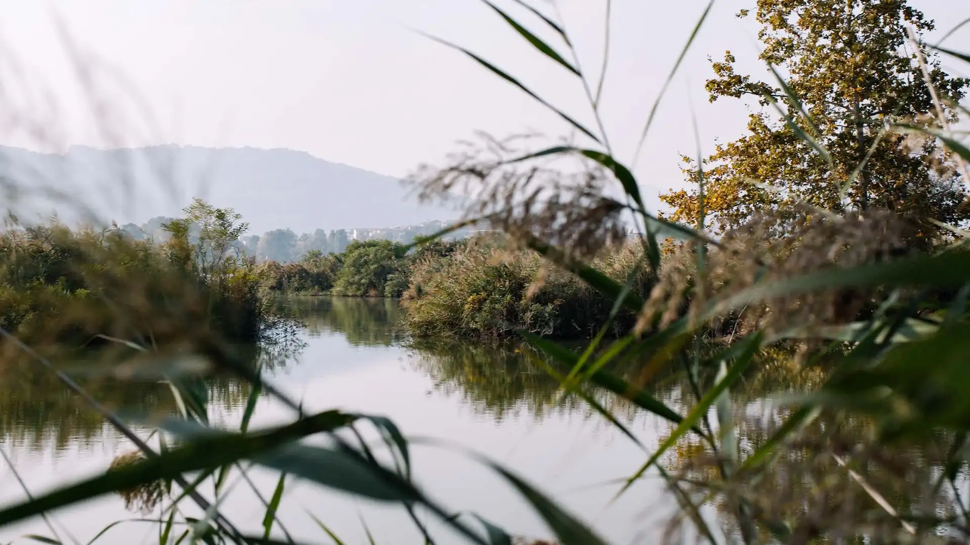 The Torbiere del Sebino Nature Reserve
