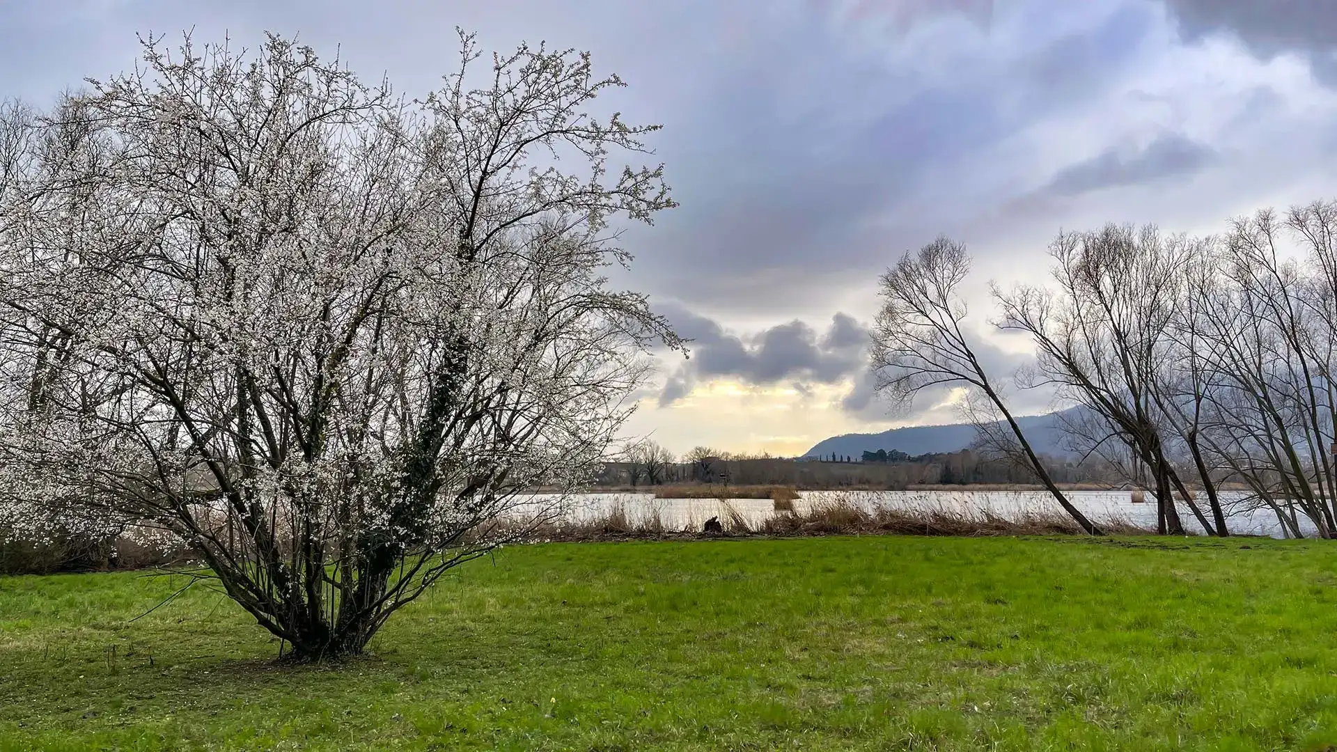 The Torbiere del Sebino Nature Reserve