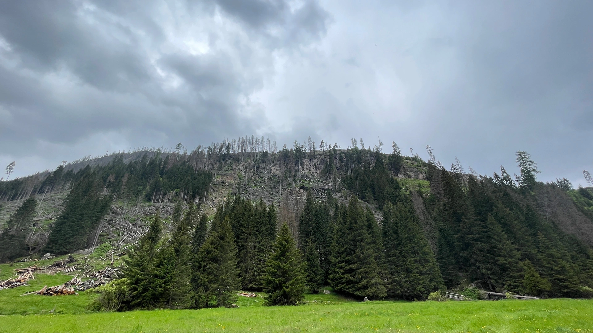 WOWnature proteggi la Val di Fiemme Into the WOW20
