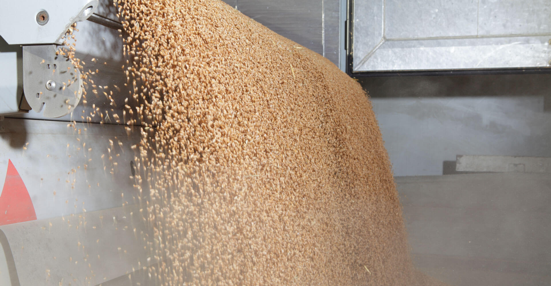 Il grano giusto per ogni farina