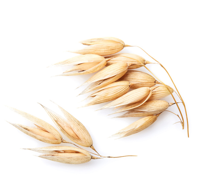 Avena