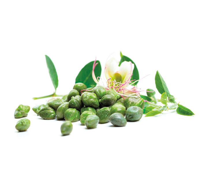 Capperi
