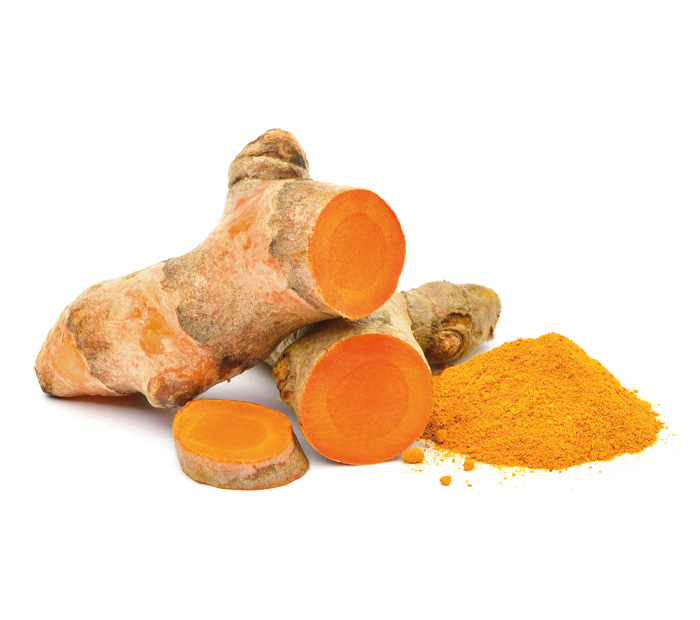 Curcuma