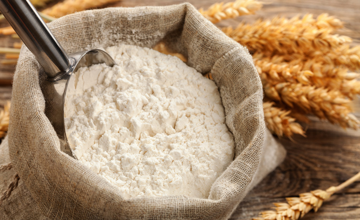 panificazione le farine
